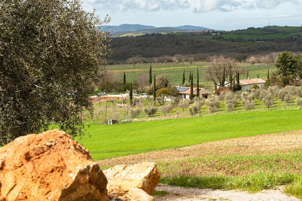 Artemisia Negli Ulivi B&B Magliano in Toscana Dış mekan fotoğraf