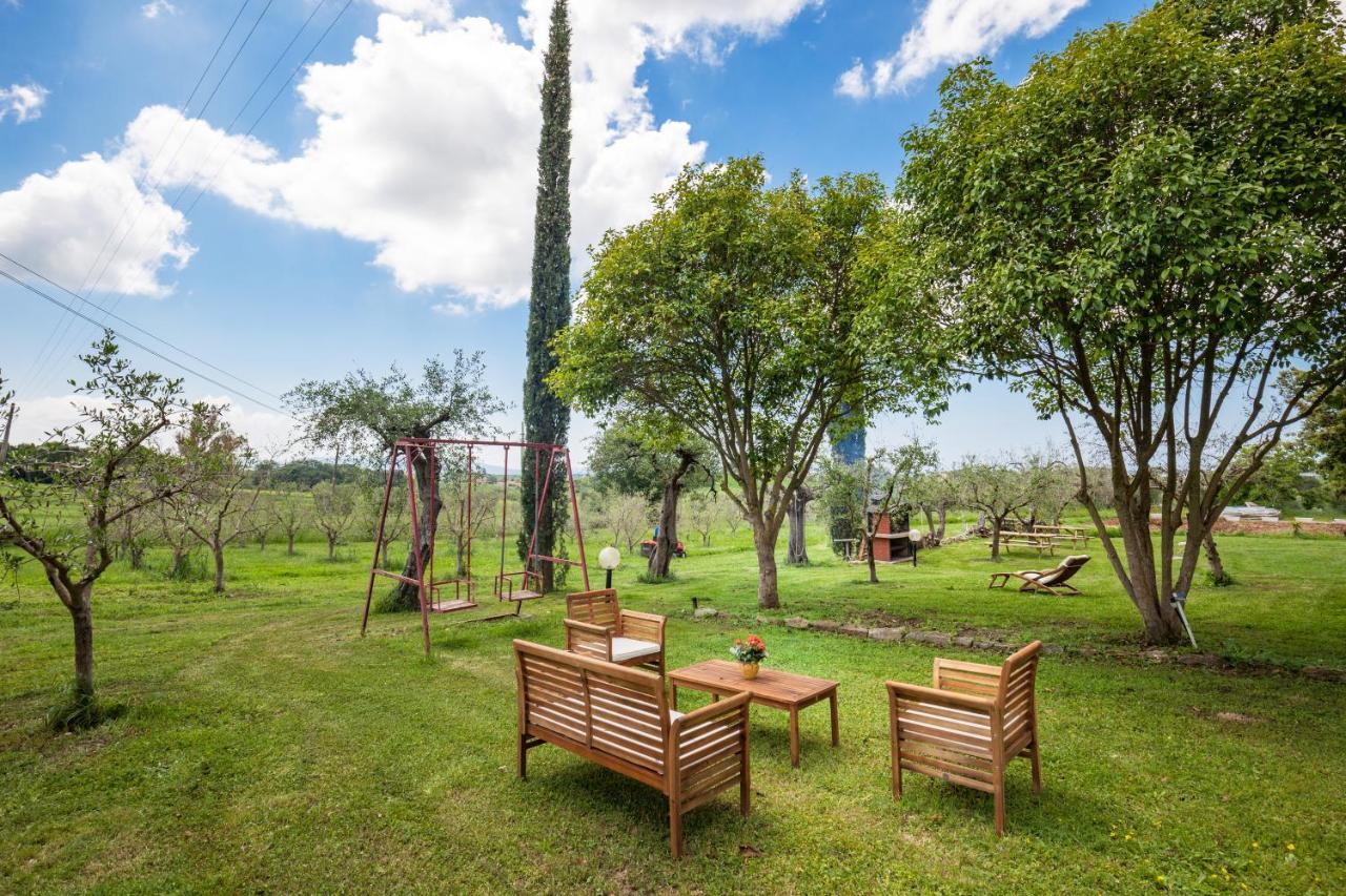 Artemisia Negli Ulivi B&B Magliano in Toscana Dış mekan fotoğraf