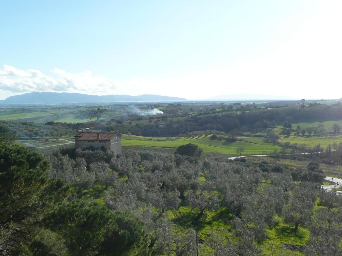 Artemisia Negli Ulivi B&B Magliano in Toscana Dış mekan fotoğraf