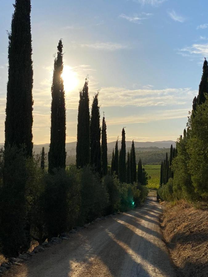 Artemisia Negli Ulivi B&B Magliano in Toscana Dış mekan fotoğraf