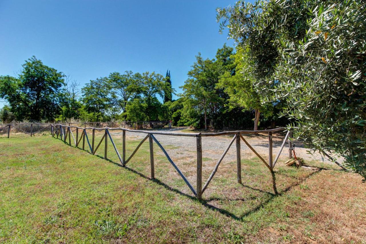 Artemisia Negli Ulivi B&B Magliano in Toscana Dış mekan fotoğraf