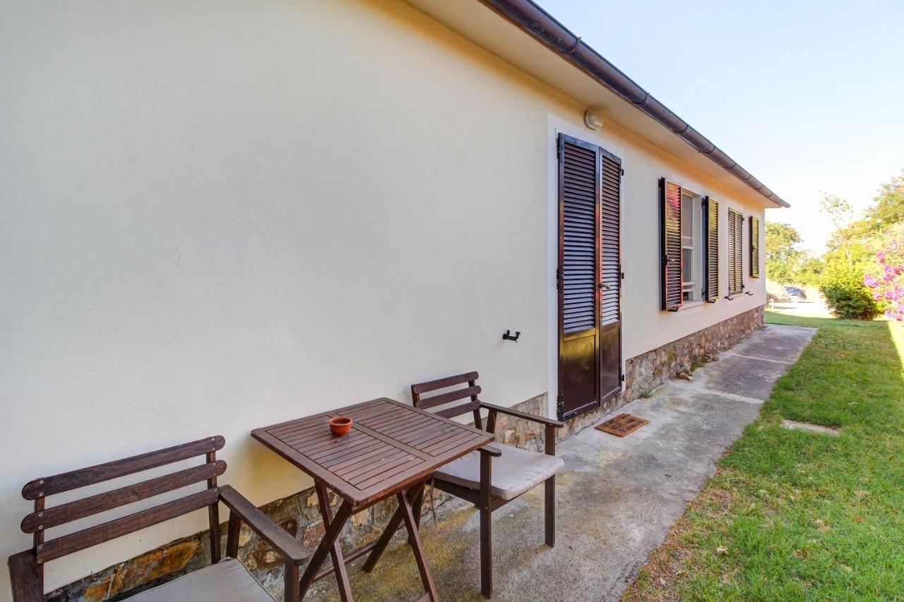 Artemisia Negli Ulivi B&B Magliano in Toscana Dış mekan fotoğraf