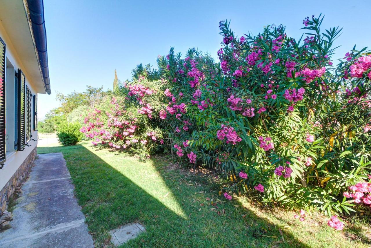 Artemisia Negli Ulivi B&B Magliano in Toscana Dış mekan fotoğraf