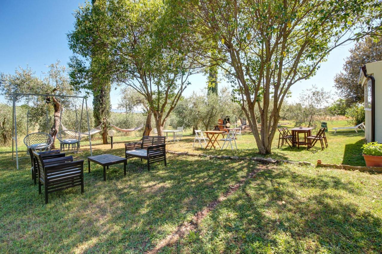 Artemisia Negli Ulivi B&B Magliano in Toscana Dış mekan fotoğraf